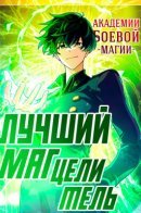 The Top Healer of the Offensive Magic Academy / Лучший маг-целитель Академии Боевой Магии