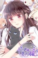 Popular Deskmate is A Cat / Кошачья натура моего соседа