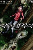 Magamaga Mountain / Магамага-яма