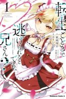 Do You Think You Can Run After Reincarnating, Nii-san? / Ты думаешь, что сможешь сбежать после реинкарнации, Братик?