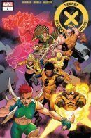 The Secret X-Men / Тайные Люди Икс
