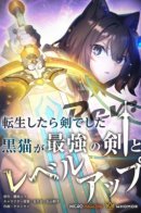 О моём перерождении в меч: чёрная кошка повышает уровень с сильнейшим мечом