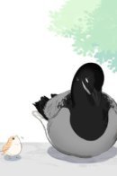 Southern Bird and Northern Bird / Северная птица, южная птица