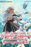 The Journey of a Dark Elf with Fading Powers / Путешествие тёмной эльфийки, лишившейся магических сил