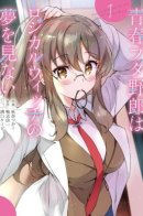 Rascal Does Not Dream of Logical Witch / Этот глупый свин не понимает мечту ведьмы логики