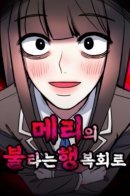 Mary's Burning Circuit of Happiness / Жгучее счастье Мэри