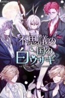 Winter Rabbit in Wonderland / Белый Кролик в Стране чудес