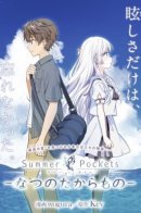 Летние карманы — Летнее сокровище