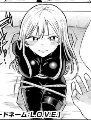 Кодовое имя: Любовь